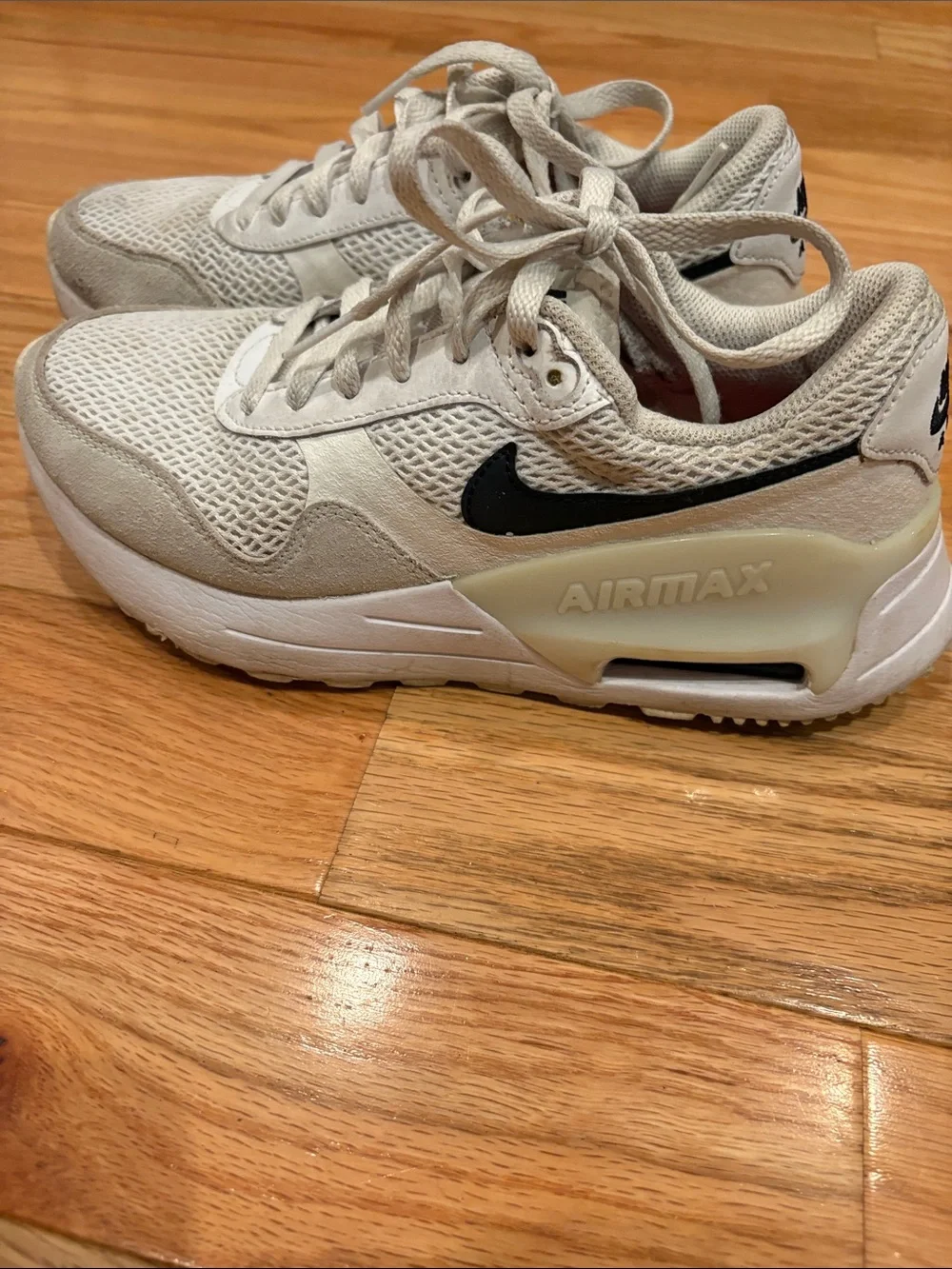 Nike Air Max Beige and Black Casual Sneakers